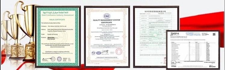 China Manufacturer Polyethylene Glycol 6000 (PEG 6000) 8000 4000 3000