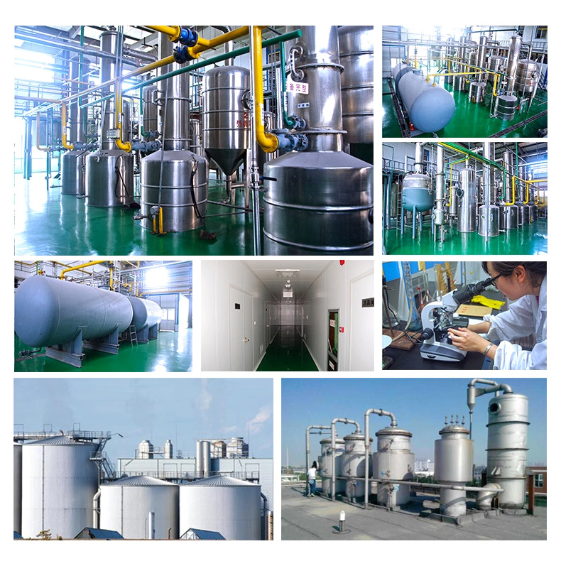 China Manufacturer Polyethylene Glycol 6000 (PEG 6000) 8000 4000 3000