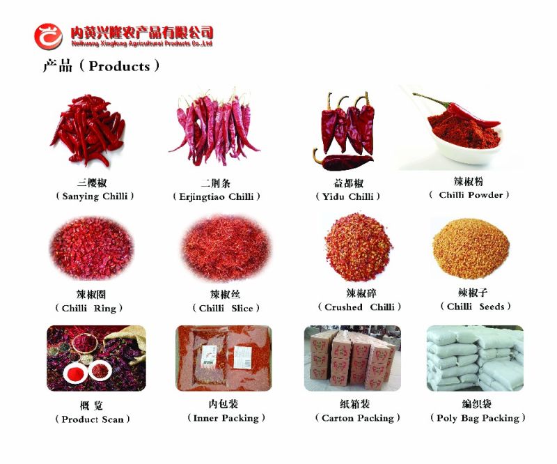 Dried Red Chilli Powder Green Chilli Powder