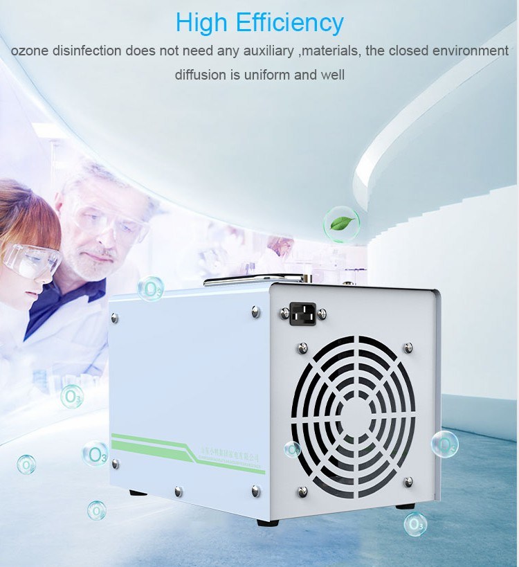 5g Ozone Air Cleaner for Home Air Sterilization