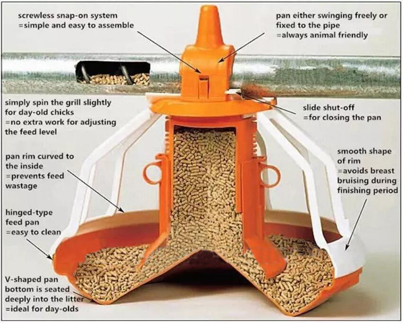 High Quality Automatic Controlled Poultry Farms in Africa for Chicken