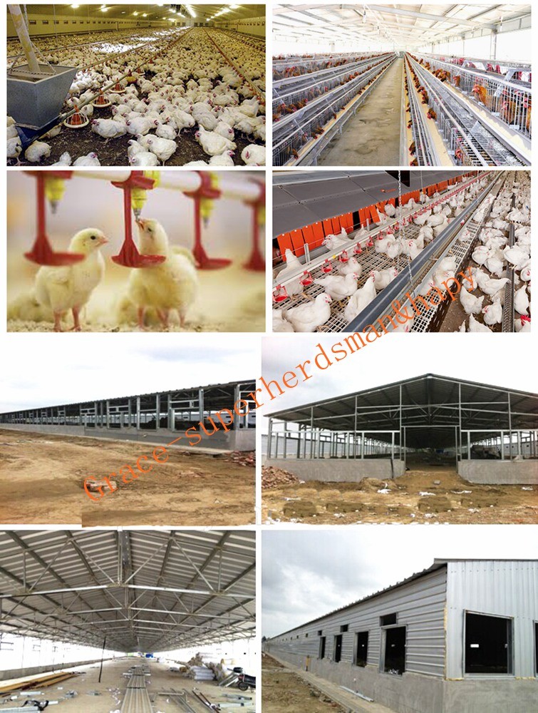 Prebab Chicken Shed with Automatic Controlled Equipments