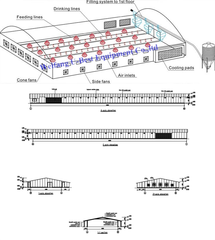 2021 Complete Controlled Automatic Poultry Farm Equipments for Broiler Chicken