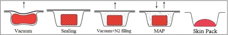 Automatic Tray Making Vacuum & Gas Filling Packing Machine