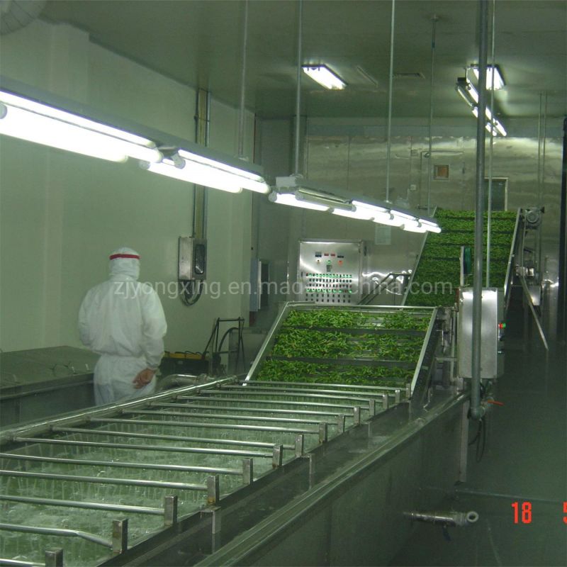 Industrial IQF Blast Freezer Vegetable/Broccoli Freezing Machine IQF Tunnel Blast Freezer/Fluidized Fow Bed Freezer with High Efficiency