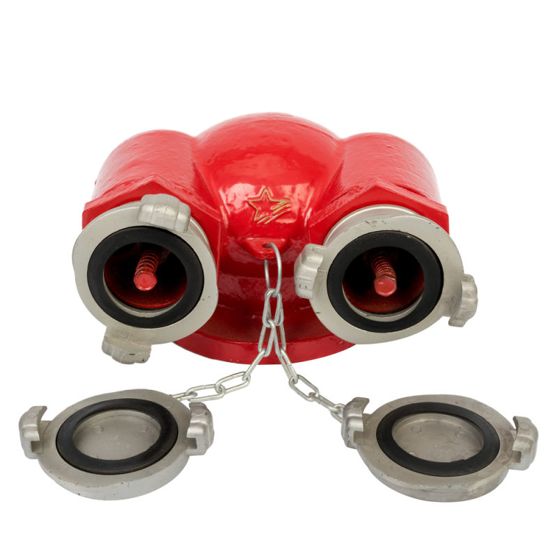 Sqd100-1.6 Multifunctional Fire Pump Connector, Fire Fighting Water Pump Connector