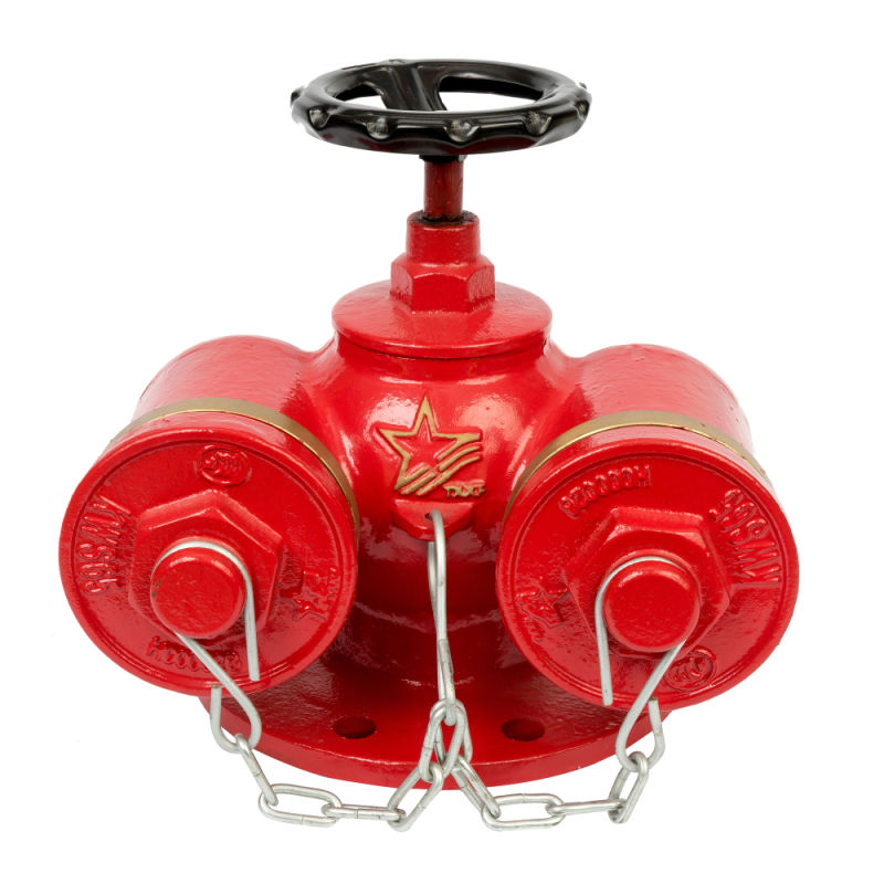 Sqd100-1.6 Multifunctional Fire Pump Connector, Fire Fighting Water Pump Connector