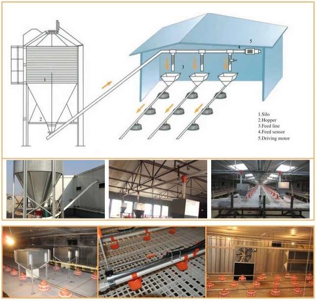 Prebab Chicken Shed with Automatic Controlled Equipments