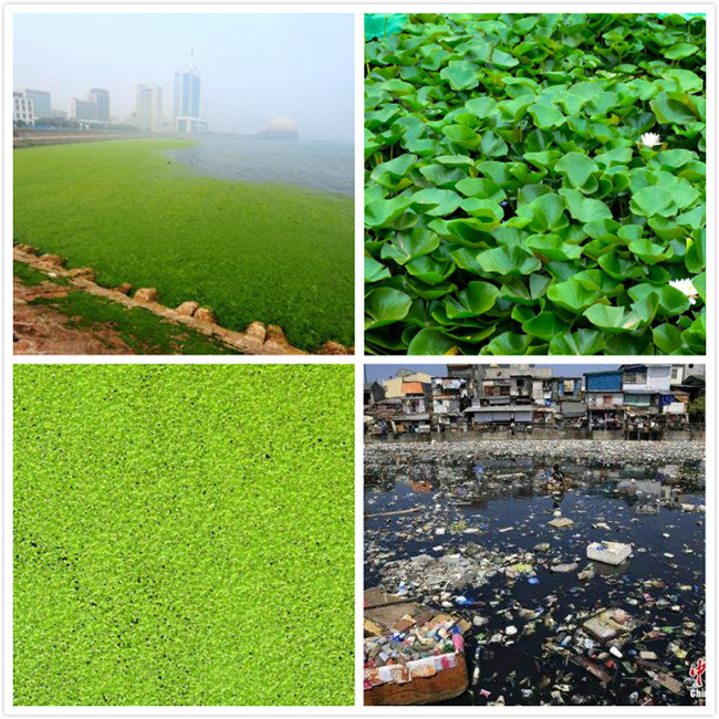 Hyacinth Harvest Grass Collecting River Cleaning Trash Collecting Boat