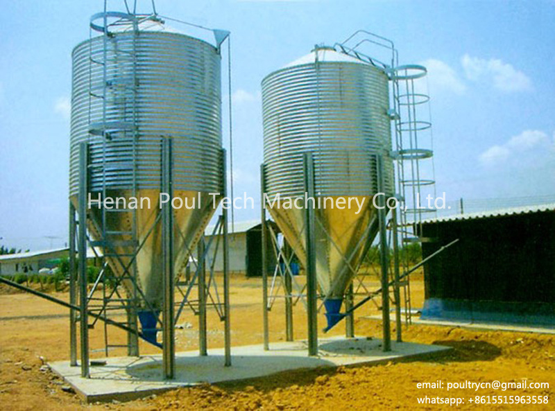 High Quality Automatic Controlled Poultry Farms in Africa for Chicken