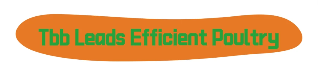 Wet Curtain for Poultry Farm Evaporate Honeycomb Cooling Pad Environment Control Cooling Pad Cooling System