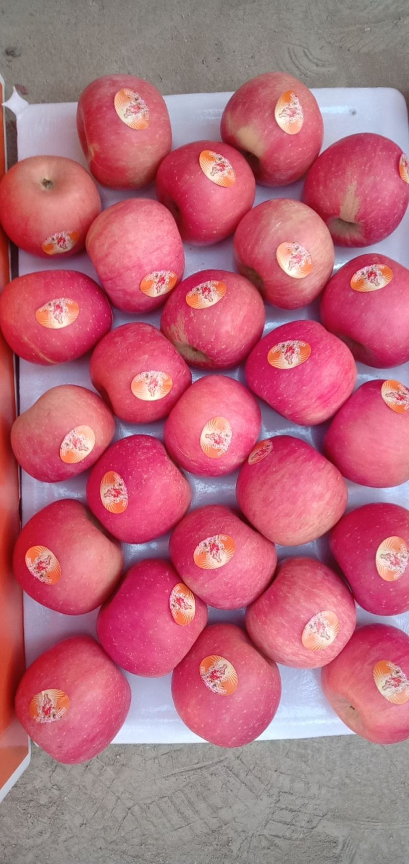 Two Blush Red FUJI Apple Exporting to Nepal
