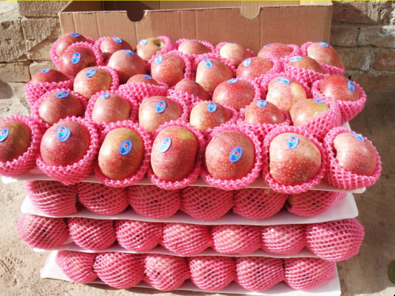 Top Quality Fruit Chinese Blush Red Fresh FUJI Apple Export Price