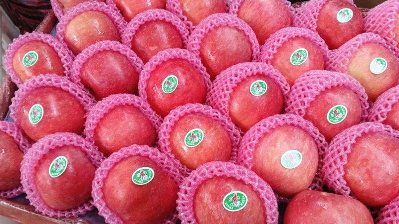 Chinese Blush Red Color FUJI Apple