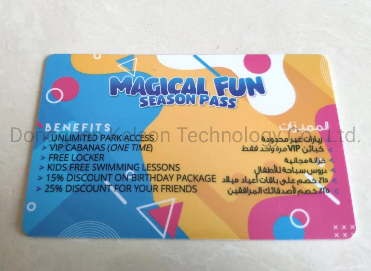 Plastic ID Card IC Card VIP Card Customized Printed with Own Logo PVC Card