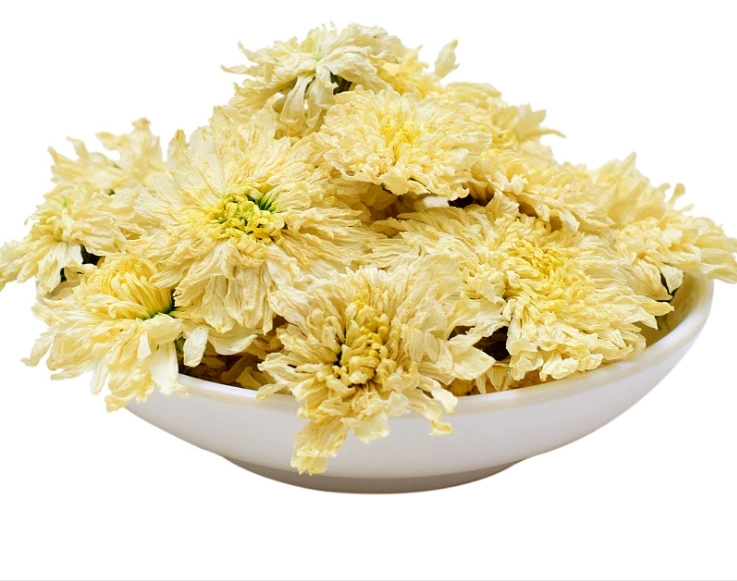 Huang Shan Florists Chrysanthemum