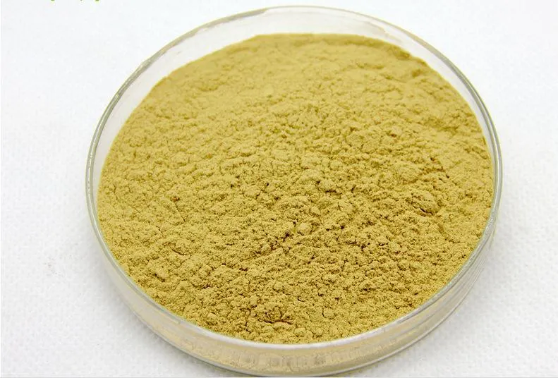 EU USP Organic Ginseng Extract American Ginseng Extract Ginsenoside Powder Extract