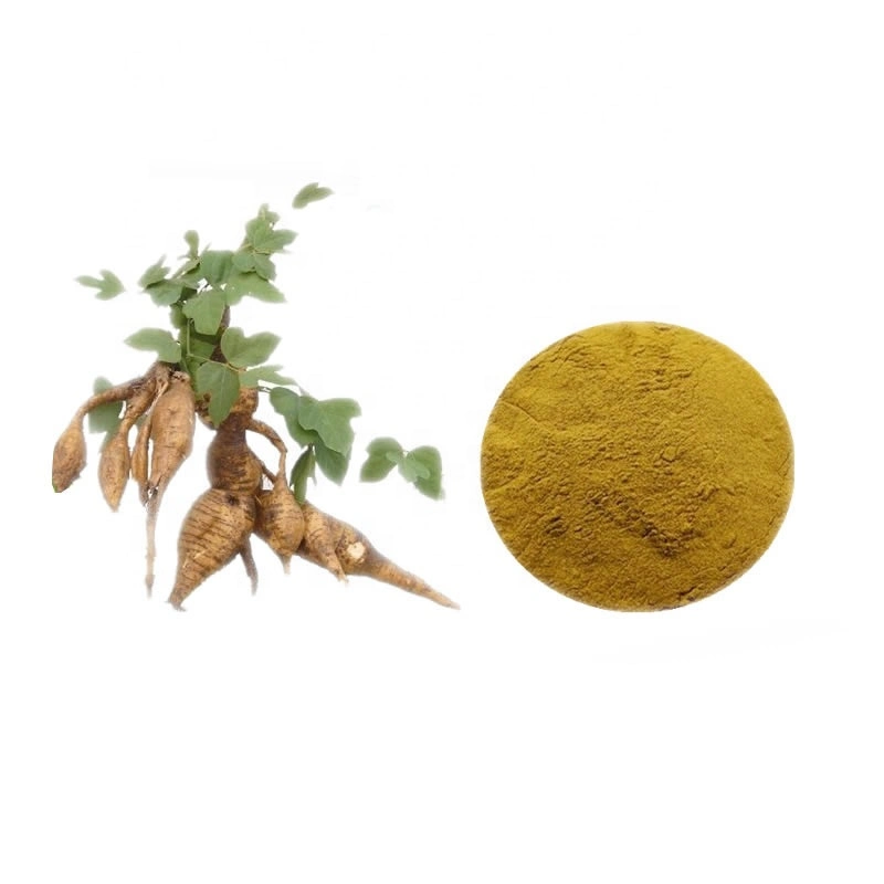 Organic Kudzu Root Powder Pueraria Mirifica Breast Capsules Puerarin Kudzu Root Extract Powder