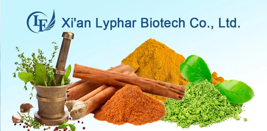 Lyphar Supply High Quality Honeysuckle Flower Extract