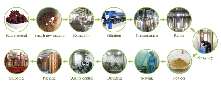 Chinese Troditional Medicine Natural Pure Salvia Miltiorrhiza Extract