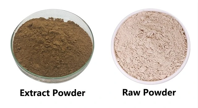 Organic Kudzu Root Powder Pueraria Mirifica Breast Capsules Puerarin Kudzu Root Extract Powder