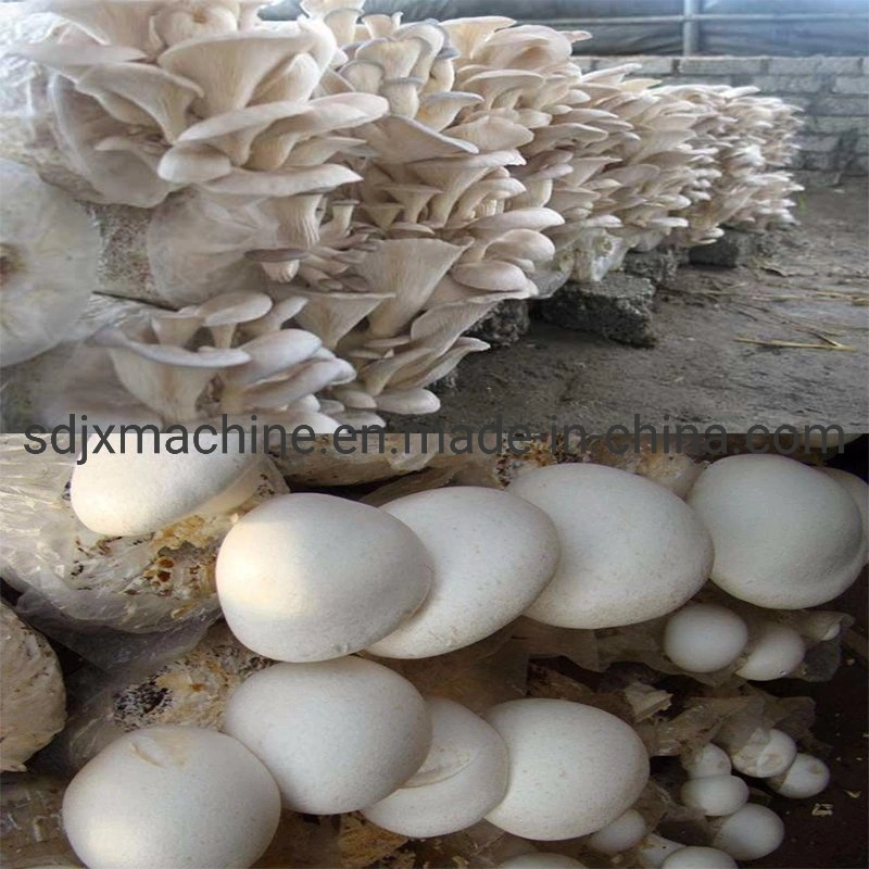 Manual Type Edible Fungus Sack Filling Machine Mushroom Bagging Machine for Sale