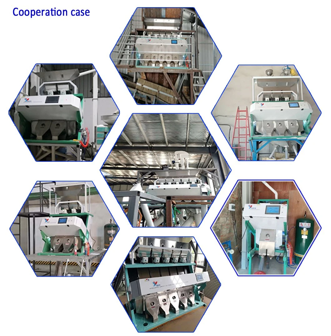 1 Chute Traditional Chinese Medicine Decoction Pieces Color Sorter Astragalus Color Sorter