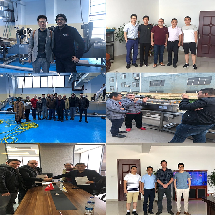 Industrial Onion Root Cutting Machine / Automatic Onion Root Cutter