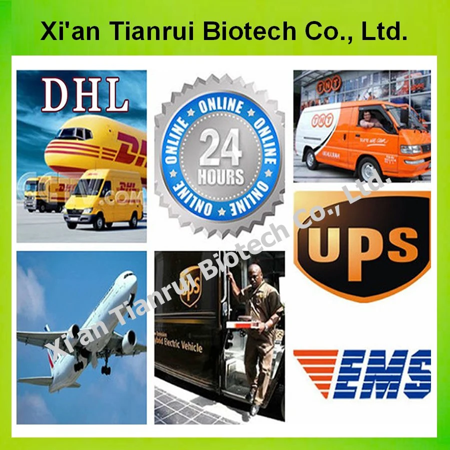 Reliable Supplier Mulberry Root-Bark Extract Cortex Mori Extract