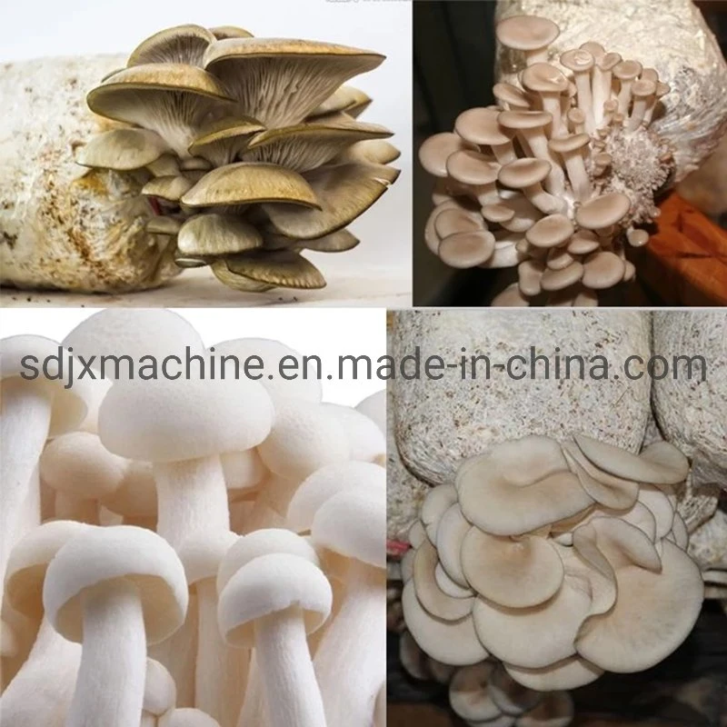 Manual Type Edible Fungus Sack Filling Machine Mushroom Bagging Machine for Sale