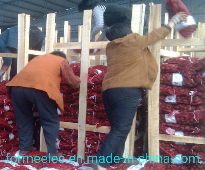 Chinese Fresh Chestnut Dried Fruit China Chestnut Chinese Chestnuts