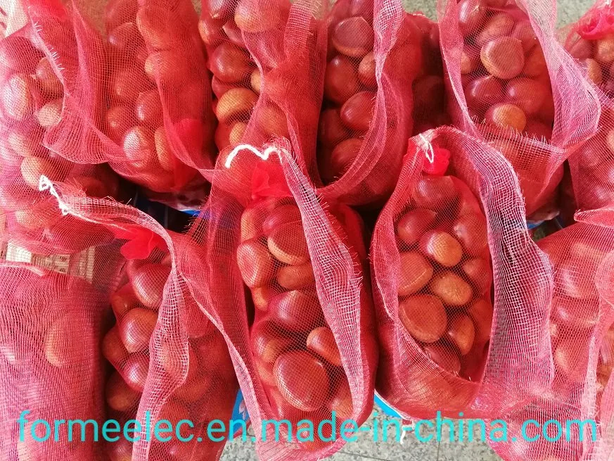 Chinese Fresh Chestnut Dried Fruit China Chestnut Chinese Chestnuts