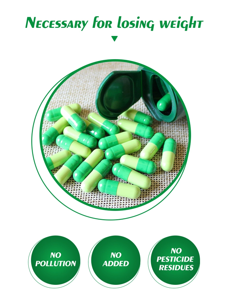 Chinese Weight Loss Function Slimming Herb Extract Capsule OEM for Weight Management