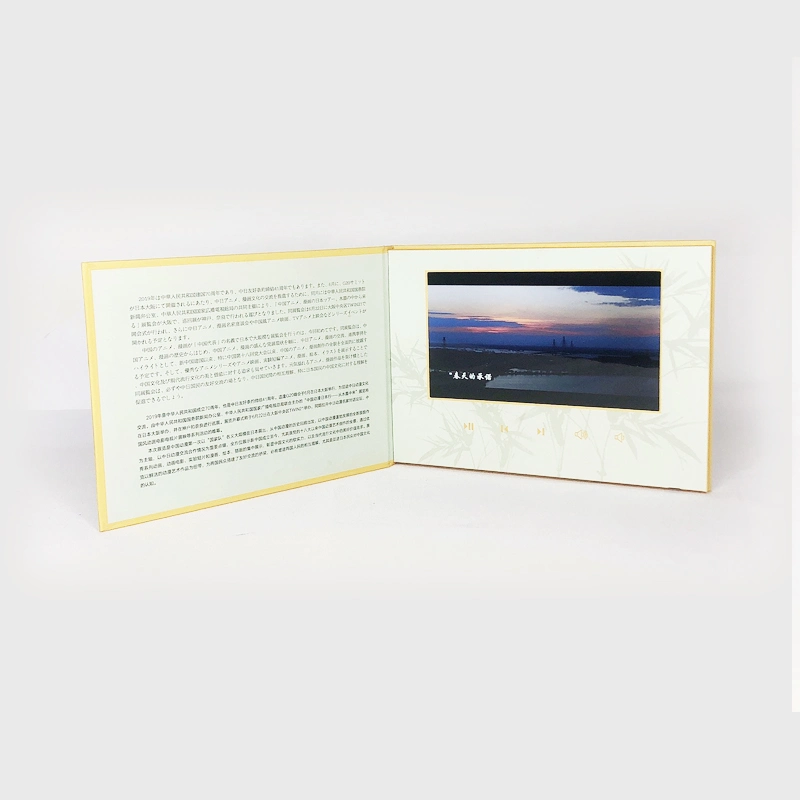 Chinese Factory Promotional LCD Business Technical Medicine Video Brochure Handouts