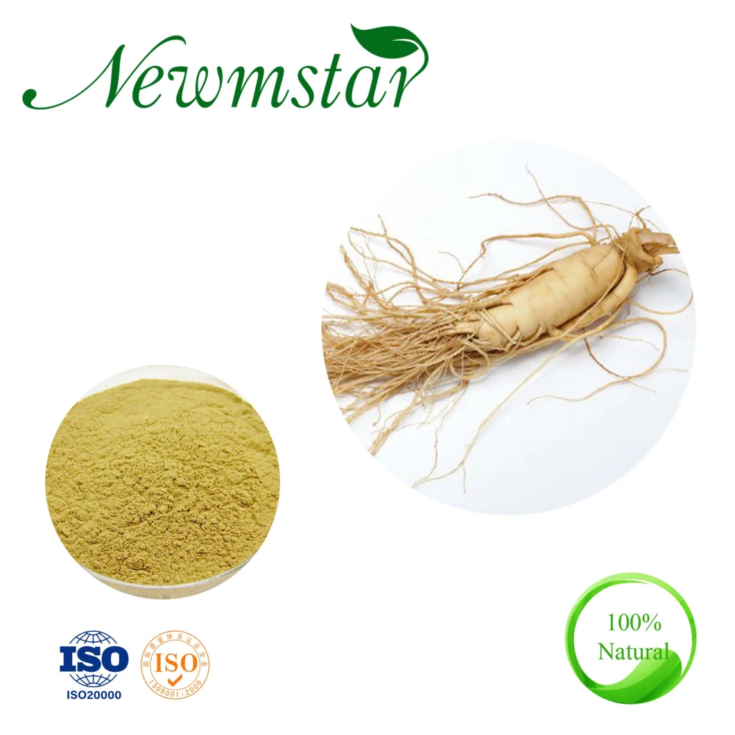 EU USP Organic Ginseng Extract American Ginseng Extract Ginsenoside Powder Extract