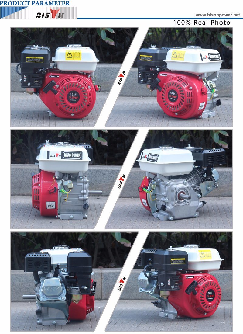 Bison Gasoline Engine Gx200 6.5HP, 168f-1 Ohv Small Gasoline Engine, Chinese Irrigation Mitsubishi Gasoline Engine