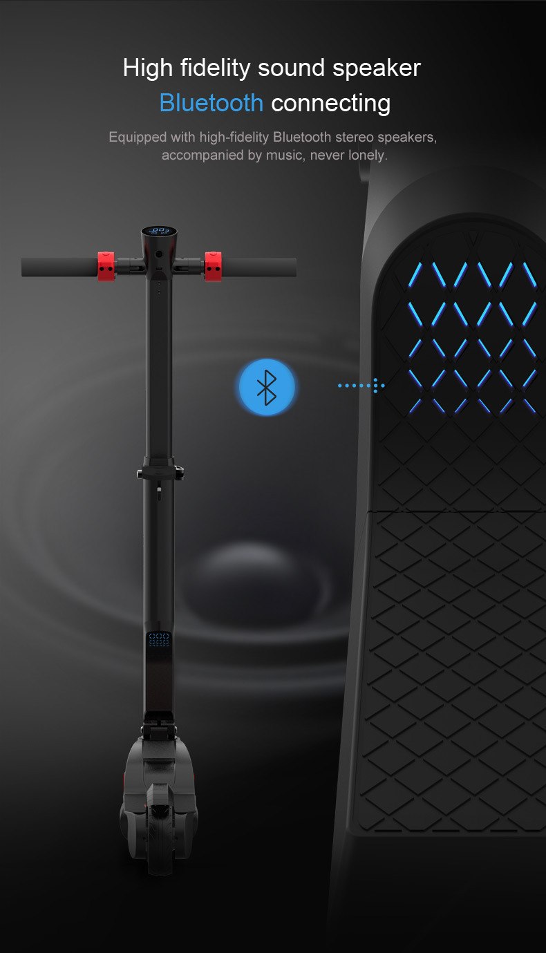 Dlpo 2 Wheels 350W Motor APP Electric Mobility Scooter