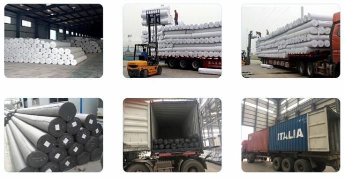 White HDPE Geomembrane for Lake/Prawn Pond/Rainwater Collection/Landscape River