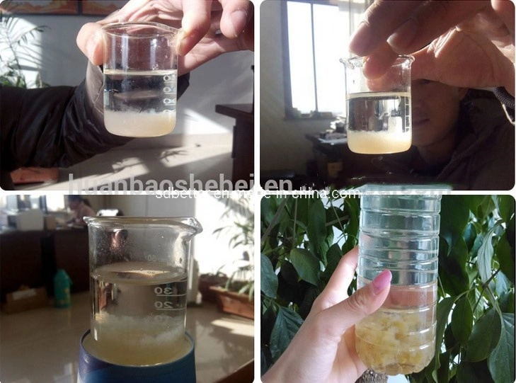 Filtration and Separation of Rainwater Dissolved Air Flotation Machine