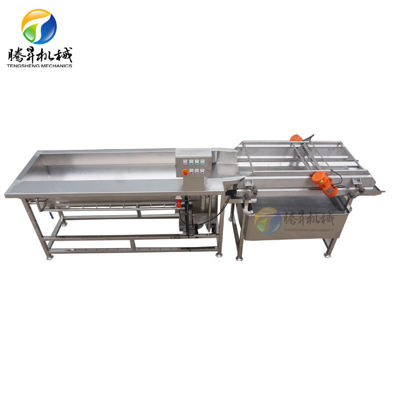 Lemon Orange Pear Apple Date Avocado Washing Machine Air Bubble Vegetable Fruit Washing Machine (TS-X680)