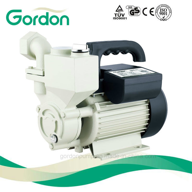 Domestic Copper Wire Garden Jet Pressure Booster Water Pump with Brass Impeller