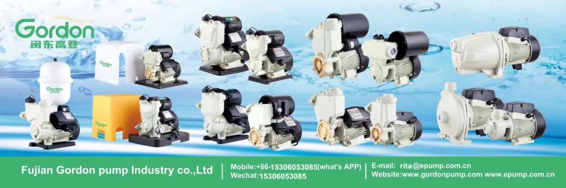 Wzb Brass Impeller Surface Self Priming Garden Pressure Jet Pump