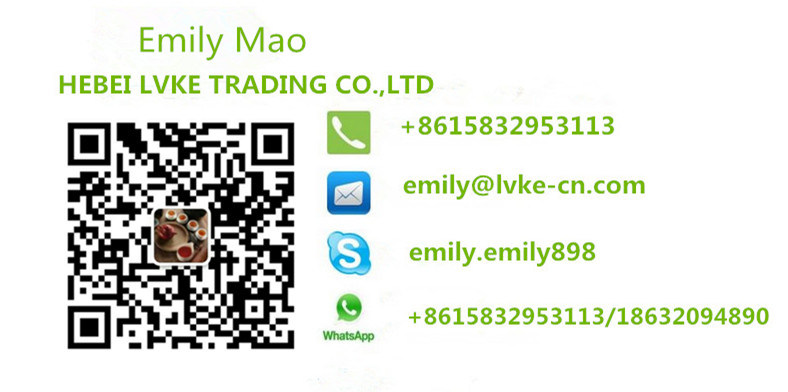 Hot Sale Mini Excavator/Mini Excavators