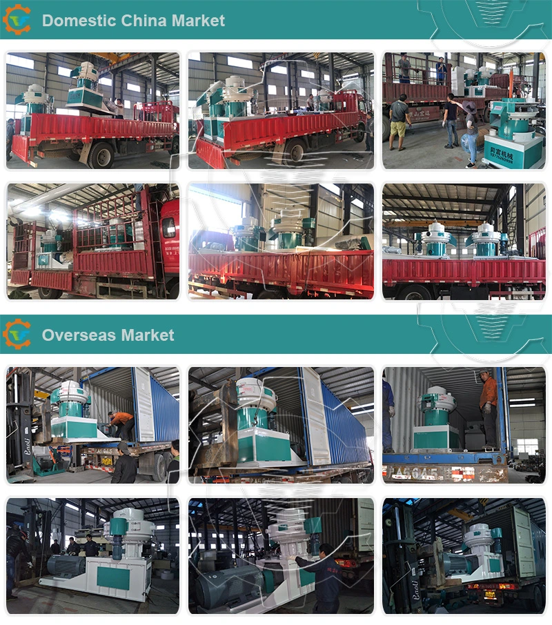 Good Price Biomass Wood Sawdust Extruder Pelletizer for Sale Manufacturers