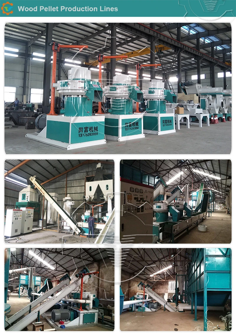 Good Price Biomass Wood Sawdust Extruder Pelletizer for Sale Manufacturers