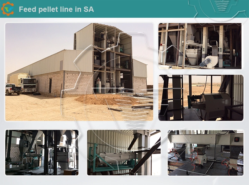 Animal/Fish Feed/Food Pellet Mill Pelletizer Extruder Manufacturers