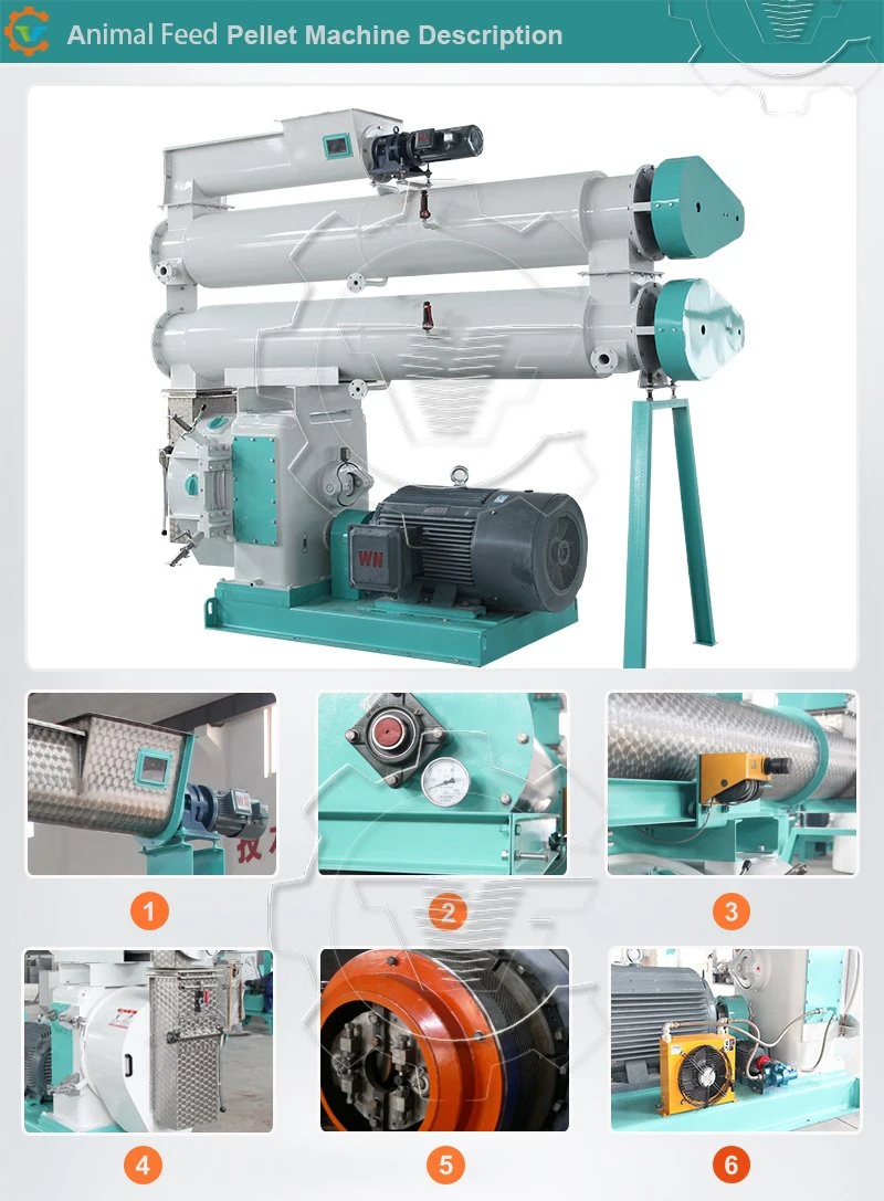 Animal/Fish Feed/Food Pellet Mill Pelletizer Extruder Manufacturers