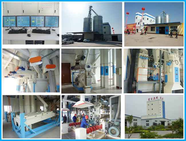 Lobster Farming Equipment Aquatic Fodder Extruder Pelletizer