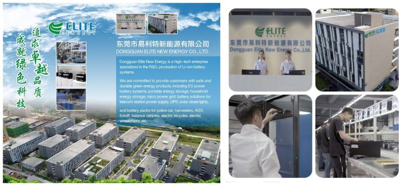 Elite Powerwall off Grid Solar Ess Powerwall Home 48V 100ah 5kwh LiFePO4 Lithium Li-ion Battery for Patented Technologies