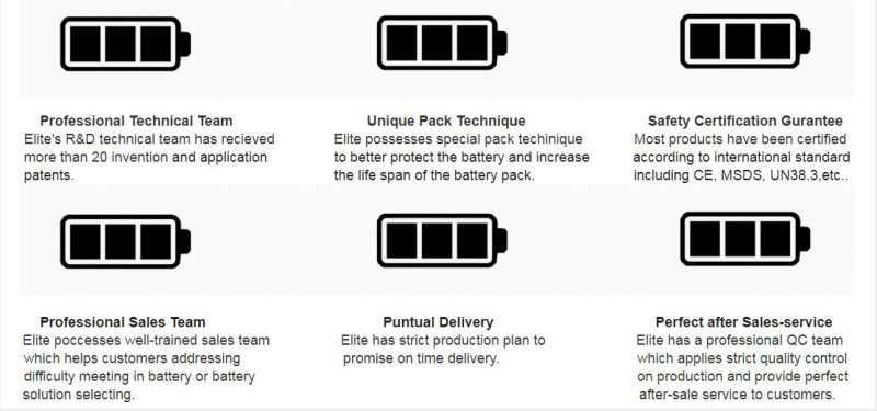 Elite Powerwall off Grid Solar Ess Powerwall Home 48V 100ah 5kwh LiFePO4 Lithium Li-ion Battery for Patented Technologies